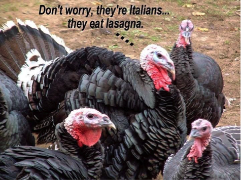 What Does the Turkey Say?