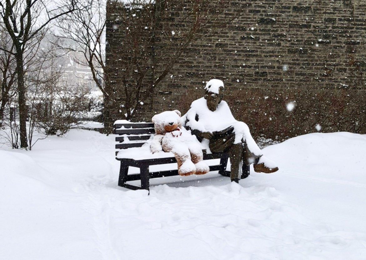 Across Canada, Universities Begin to Announce Their Winter Semester Plans