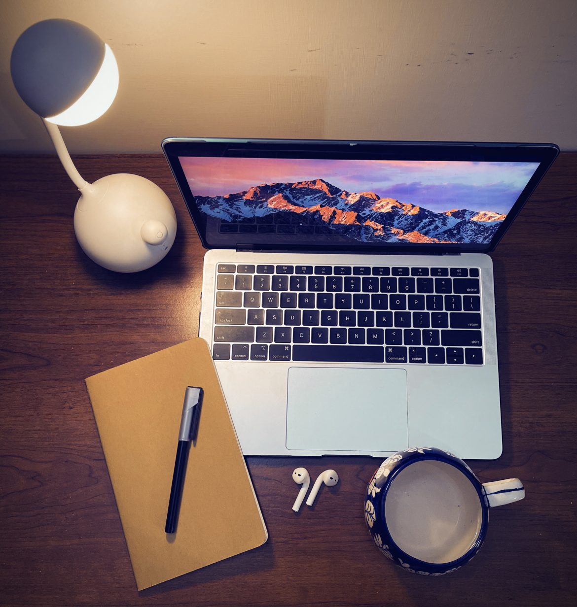 Top 10 Work From Home Essentials