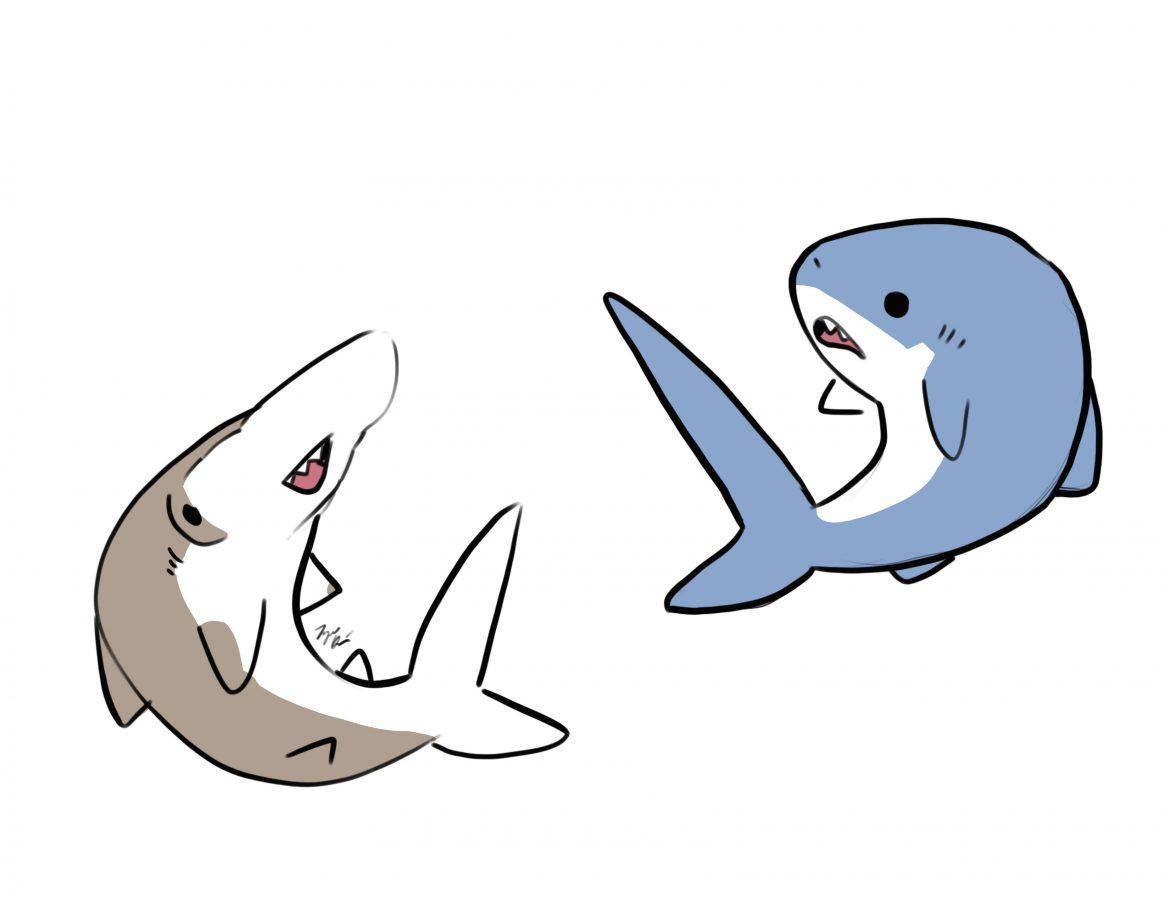 Sharks: Misunderstood Heroes of Our Oceans