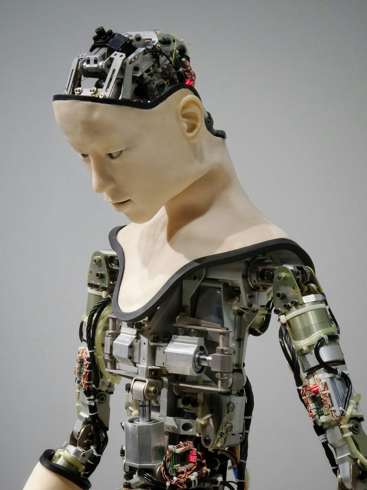 How Will Artificial Intelligence Revolutionize Economies?