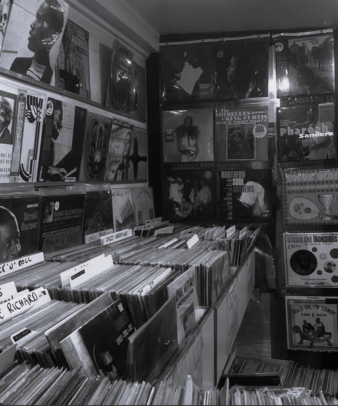 Collect Vinyl Like the World’s Ending